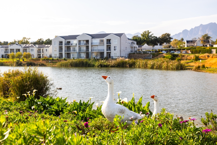 3 Bedroom Property for Sale in Wellington Central Western Cape